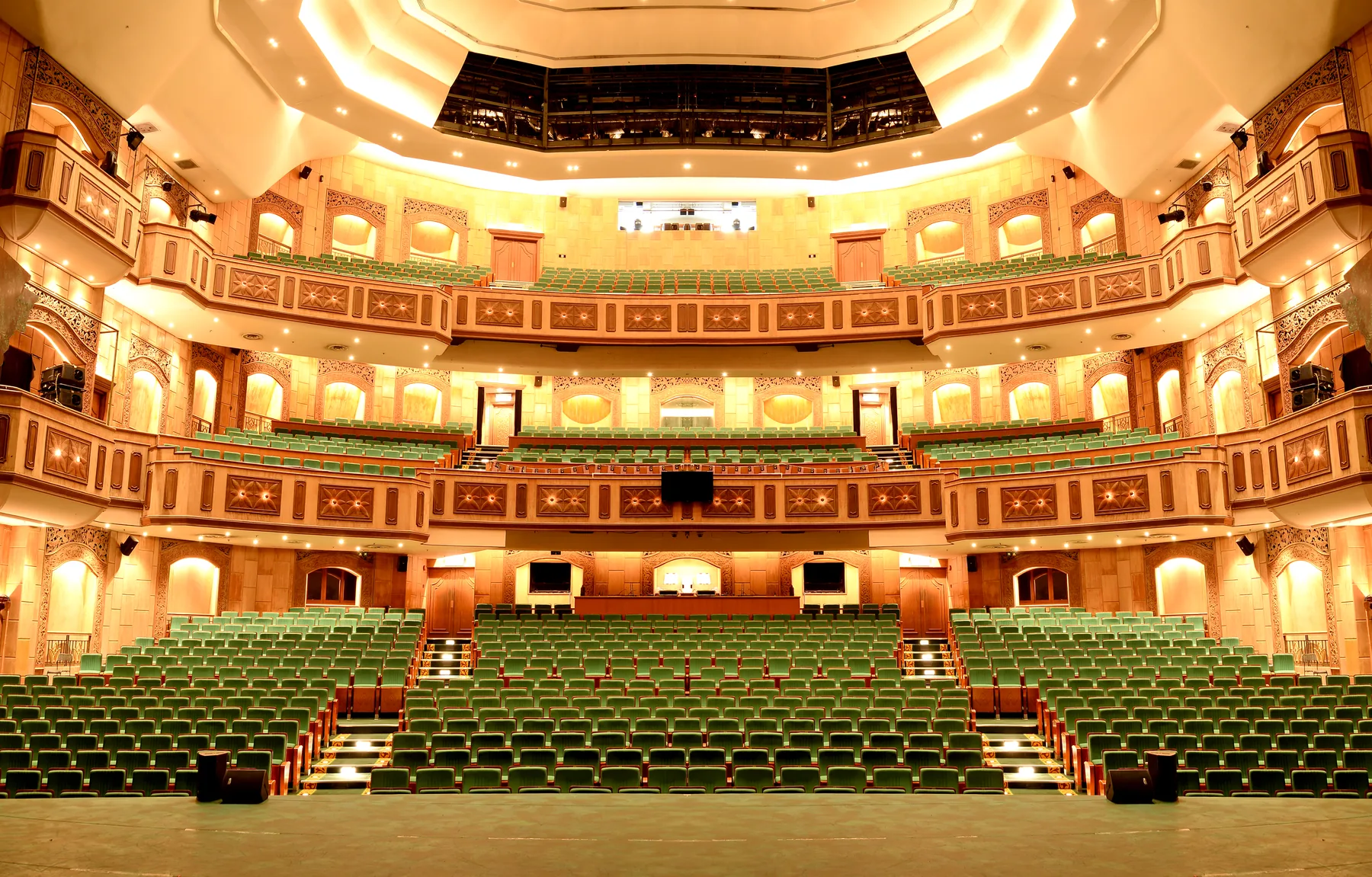 Contemporary auditorium with warm oak walls and tailored seating